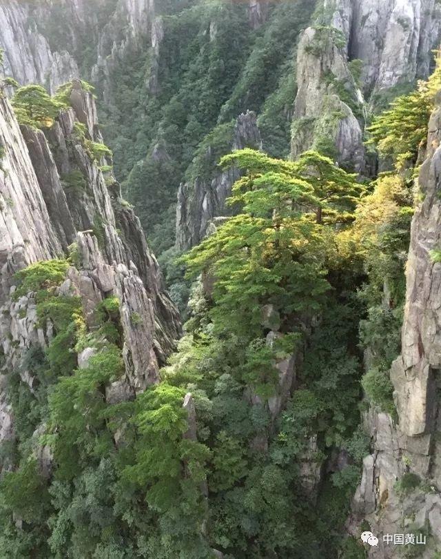 楚留香